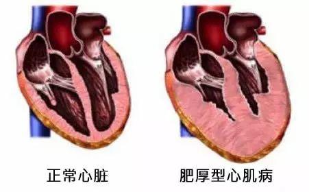 fa448d97b50a1083.jpg